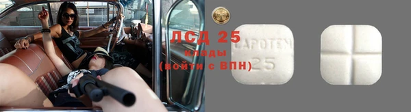 мяу мяу мука Алзамай
