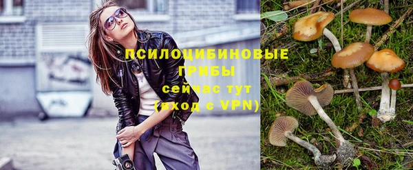 гашик Алексеевка