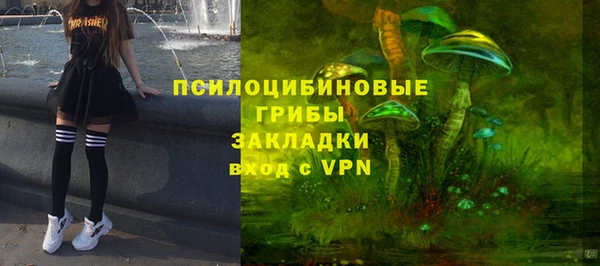 мяу мяу мука Алзамай