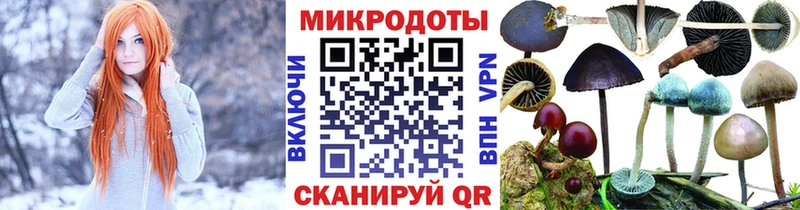 Псилоцибиновые грибы Psilocybine cubensis  Берёзовский 