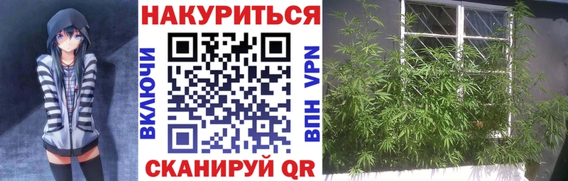 Марихуана AK-47 кракен как войти Берёзовский